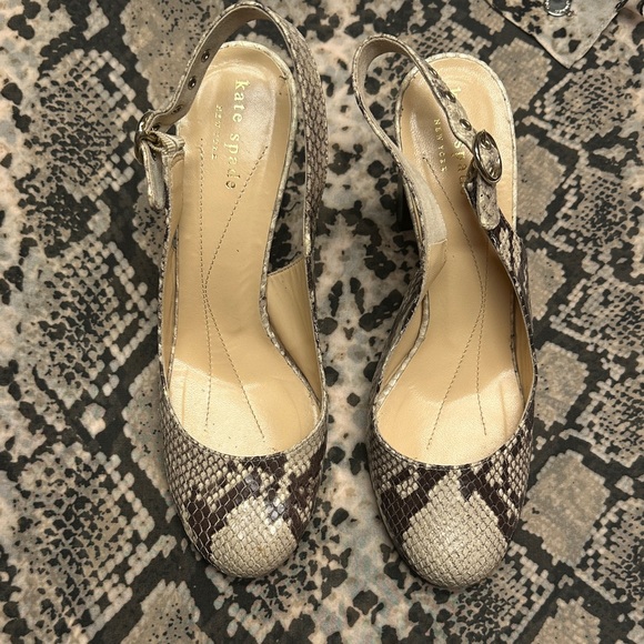 Kate Spade Brown and Cream Snake Print Heels with Calvin Klein Scarf - Picture 1 of 10
